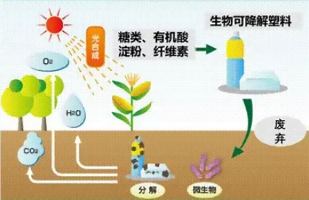 177-饱受争议的“可降解塑料”配图